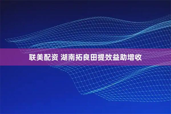 联美配资 湖南拓良田提效益助增收