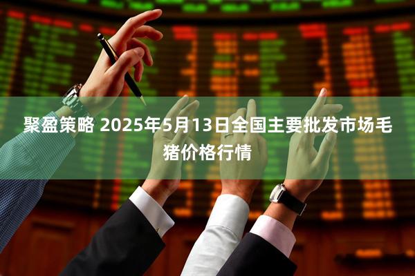 聚盈策略 2025年5月13日全国主要批发市场毛猪价格行情