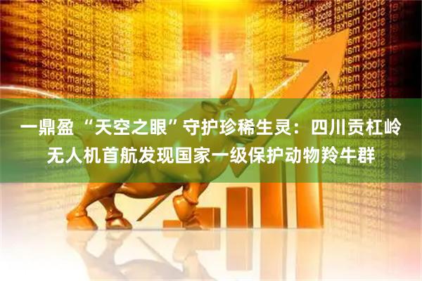 一鼎盈 “天空之眼”守护珍稀生灵:四川贡杠岭无人机首航发现国家一级保护动物羚牛群