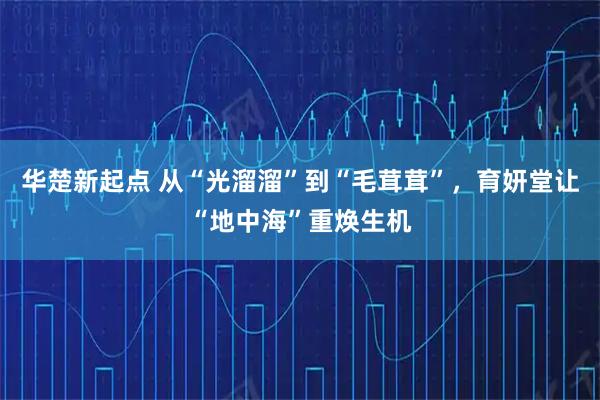 华楚新起点 从“光溜溜”到“毛茸茸”，育妍堂让“地中海”重焕生机