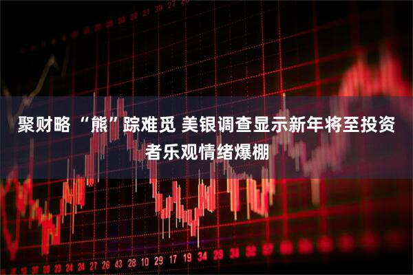 聚财略 “熊”踪难觅 美银调查显示新年将至投资者乐观情绪爆棚