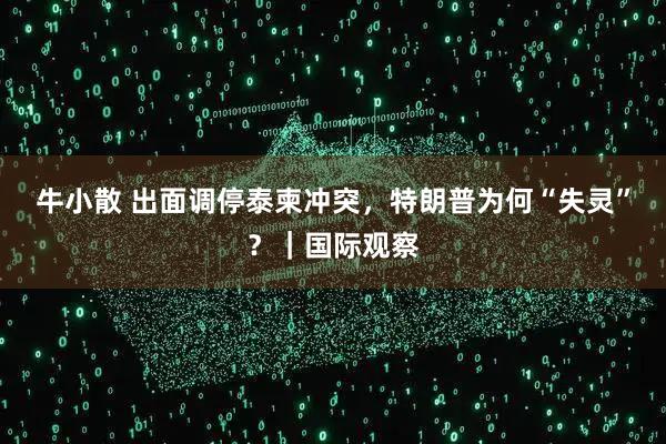牛小散 出面调停泰柬冲突，特朗普为何“失灵”？｜国际观察
