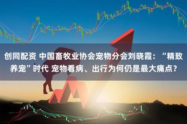 创同配资 中国畜牧业协会宠物分会刘晓霞：“精致养宠”时代 宠物看病、出行为何仍是最大痛点？