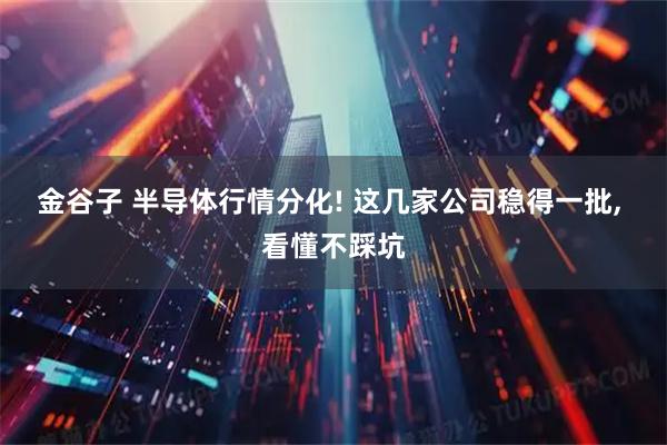金谷子 半导体行情分化! 这几家公司稳得一批, 看懂不踩坑